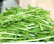 cicoria-ricette-veg