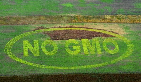 OGM: ITALIA E 11 PAESI CHIEDONO RETROMARCIA COMMISSIONE UE