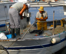 pescatori e reti