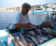 venditrice di pesce