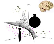 Schema funzionamento di un classificatore matematico basato su dati di neuroimaging strutturale