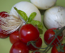 cipolle pomidoro basilico