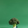 broccoloveronesi